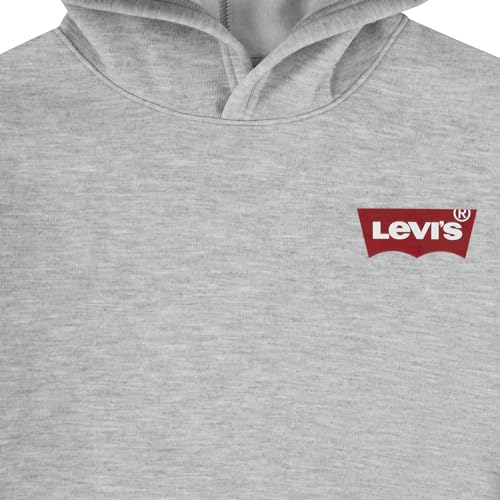 Image of Levi's Boy's Pullover Hoodie (Big Kids)