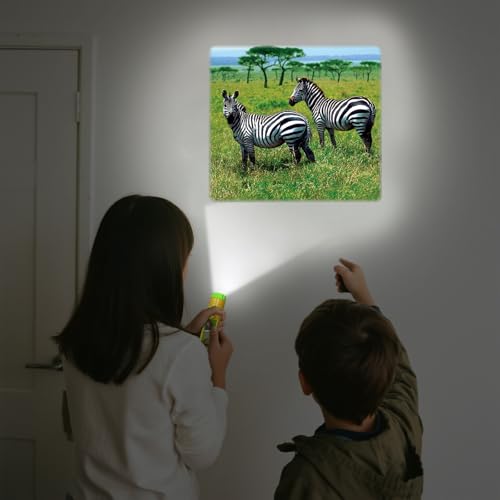 Image of Pup Go 2-Pack Wild Animal & Seaworld Torch and Projector for Ages 3 4 5 6 7, Ideal Toys for Boys, Cool Kids Torch with 6 Discs and 48 Images, Educational Science Kits for Toddlers and Children