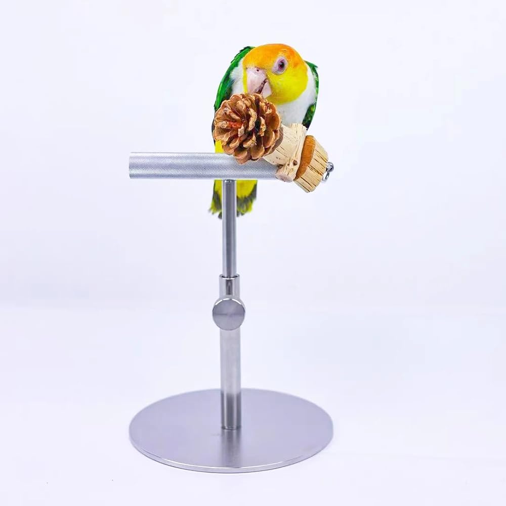 Toplionace Soporte de Escritorio para Loros, Percha de Entrenamiento Totalmente Metálica para Aves.