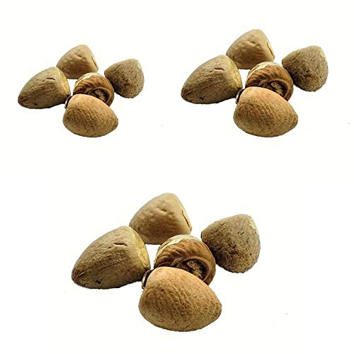 Pmw - Puja Supari - Betel Nut Whole - Areca Nut - 100 Grams - Vakka Kaya (B08N1K3RZF) Amazon Price History, Amazon Price Tracker
