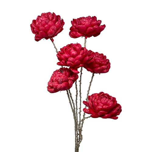 Ramo de flores de madera Sola orgánicas, 6 tallos miniatura 1