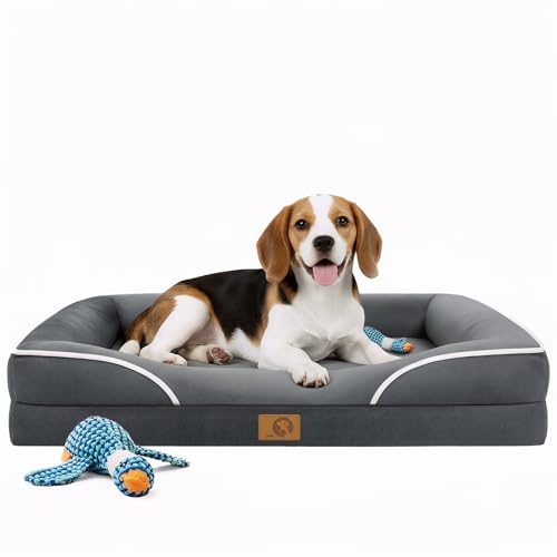 Homemate Dog Bed Medium Size Dog 71.1x58.4 cm `OȗptH[t h AEghA ybg L xbh \t@pi   N[g pbh \t@ O\Ő􂦂Jo[t & mXbv{