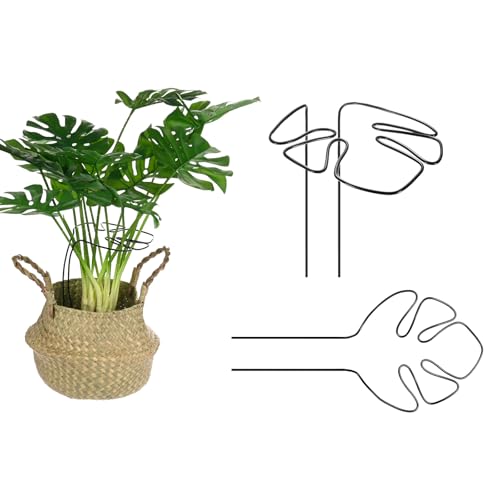 M METERXITY 2-Pack Monstera Plant Support