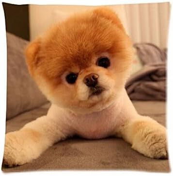 Amazon Hello Halo有名worlds S Cutest Funny Puppy Boo犬personalized For柔らかいぬいぐるみ枕カバースロー耐久性ケースホームベッド 枕 抱き枕 オンライン通販