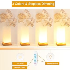Vase Lamp Table Lamp Dimmable 3 Colors Vase Table Lamp USB Charge Bedside Lamp Frosted Glass Shade with Wood Base Vase Lamp Table Lamp Dimmable 3 Colors Vase Table Lamp USB Charge Bedside Lamp Frosted Glass Shade with Wood Base