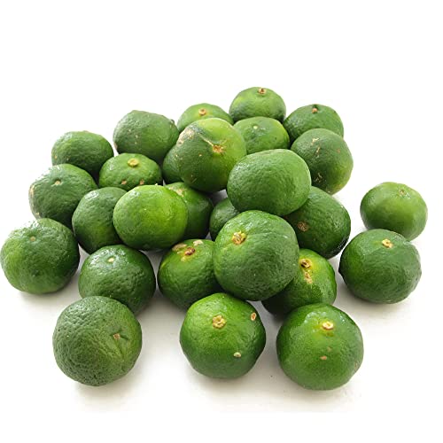 シークワーサー 1kg前後 沖縄の代表的柑橘 サンマや松茸に 沖縄県産 低農薬栽培 緑色または黄色