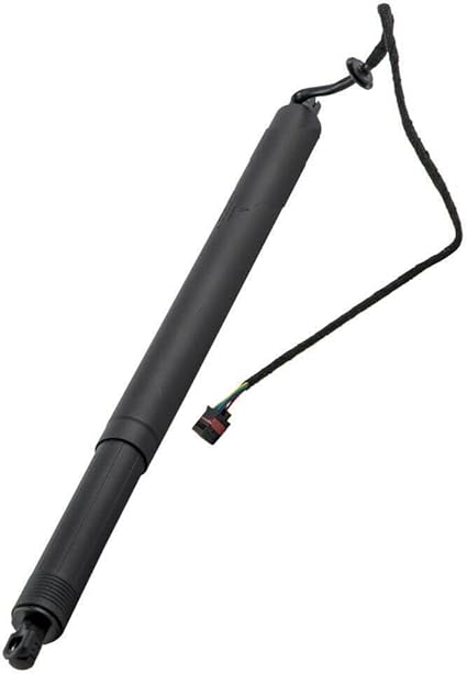Amazon.com: 1 PC/SET OF ELECTRIC STRUT LR075419 LR075419, Compatible ...