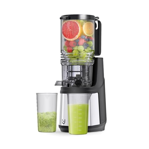 Masticating Juicer, 350W Slow Cold Press Juicer with 5.8″ Extra-Large Feeding Chute, Juicer Machines for Whole Fruits and Vegetables, Easy to Clean with Brush
