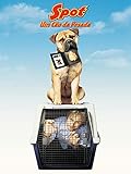 Spot: Um Cão da Pesada