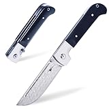 Zetterrank XXL Coltello Pieghevole, Coltello da Caccia in Acciaio VG10, Coltello Damasco A...