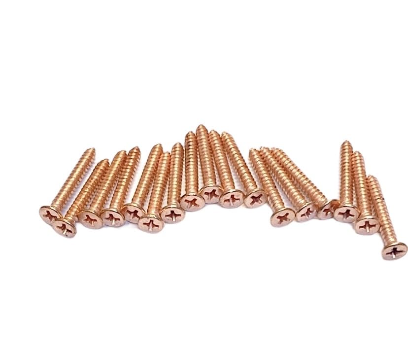 "BRASK" STEEL SELF TAPPING SCREWS CSK PHILLIPS HEAD 32 MM X 8 MM (1.1/4 INCH) ROSE GOLD COLOUR (PACK OF 100 PCS) (B0BSNYJS3D) Amazon Price History, Amazon Price Tracker