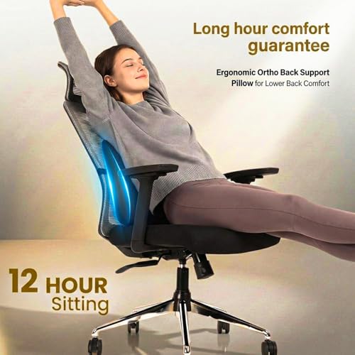 Image of ValorX USA Summit 2026 Ergonomic High Back Office Chair | Orthopedic Memory Foam Back Cushion | Smart Tilt-Lock Mechanism | Breathable Italian Mesh | 3D Armrest | 3 Year Warranty | Black & Grey