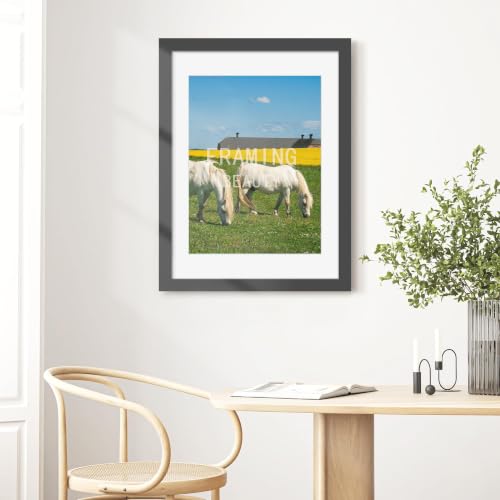Image of Picrit 22x30 Black Picture Frame, Poster Frame for Wall, 3 Pack