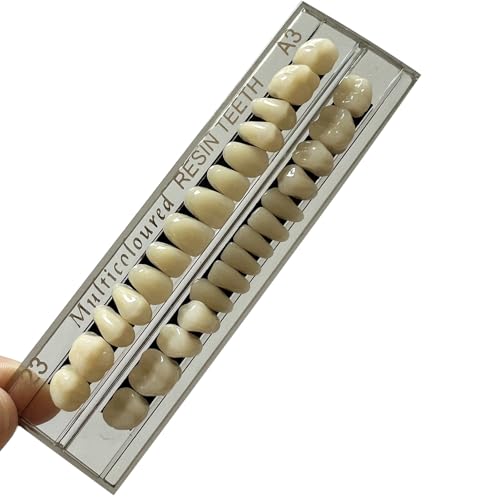 Image of 56pcs Dental Synthetic Resin Teeth Denture False Tooth Denture Model Teeth 2 Sets Halloween Horror Teeth, 23 A3