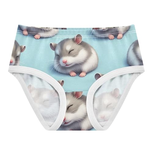 Stylish Toddler Underwear Floral 2t Cotton Girl Panties Cute Cute Cartoon Hamsters Blue Undies Kids Briefs