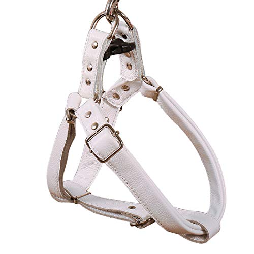 feiling Pettorina per Cani, Regolabile Imbracatura in Pelle, Durevole Harness Cane Taglia Piccola Media Grande Morbido Cinghia Stoviglie (M, bianco)