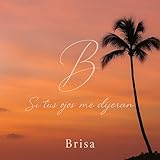 Brisa