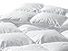 Highland Feather Manufacturing 35-Ounce Calais European Down Duvet Super King