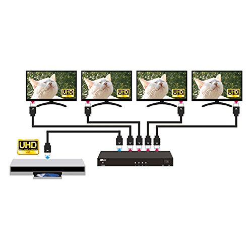 HDMI分配器 REX-HDSP2-4K RATOC Systems REX-HDSP2-4K 4K60Hz/HDCP2.2 1入力2出力 HDMI