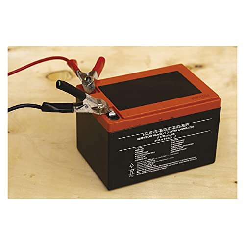 EMOS Onderhoudsvrije loodaccu 12 V 15 Ah cyclusbestendig, tractie-accu voor e-bike, elektrisch voertuig, kinderauto… - Afbeelding 7