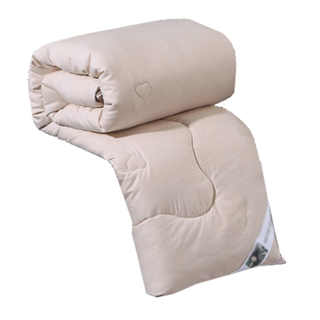 AFLHYJK Silk Quilts Warm Winter Duvet Insert Quilted Bed Comforter King Queen Full Twin Size Kid Bed Patchwork Blanket (Color : D, Size : 200X230 5kg)