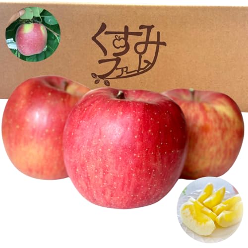 X ytƂ炸Tӂ ƒpz3kg tARTGWF ƒp Ǖi _ƒc ܕsgp Â  ь ʕi݃t@[ tART uhj(3kg)