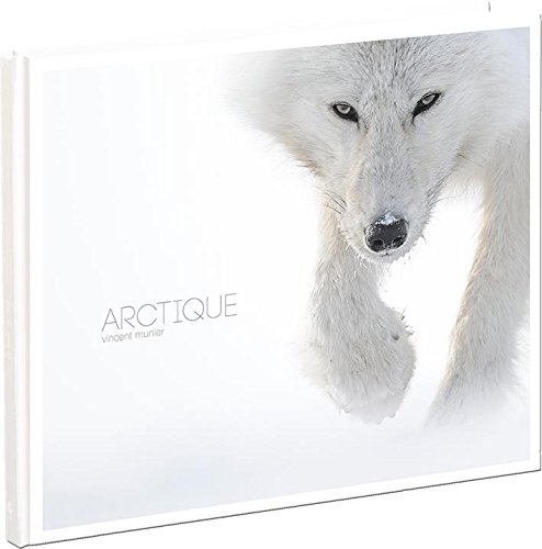 Arctique Arctique