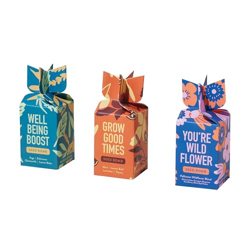 Modern Sprout Seed Bombs - Organic Wildflower & Herbs Seeds for Indoor/Outdoor Gardening - Party Favors and Eco-Friendly Gift for Plant Lovers - Includes 12 Hand-Rolled Seed Balls - Made in The USA