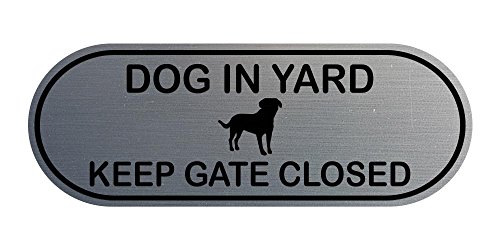 Chien en cour keep porte fermée pour sécuriser l'accès de votre jardin