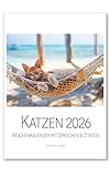 Edition Seidel Premium Kalender Katzen Wochenkalender 2026 Format DIN A4 Wandkalender Katzenkalender mit Sprüchen und Zitaten Tiere Katze Kater Kitten Kätzchen