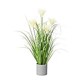 CREATIV green