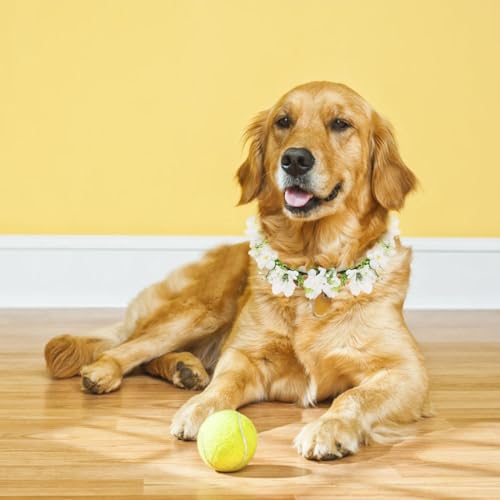 YSJCHEBS 1 Stück Haustier-Girlande, 1 Stück Haustier-Armband, Haustier-Hochzeits-Blumenhalsband, Haustier-Blumen-Fliege, Hunde-Hochzeits-Blumenkrone, Foto-Requisiten-Girlande