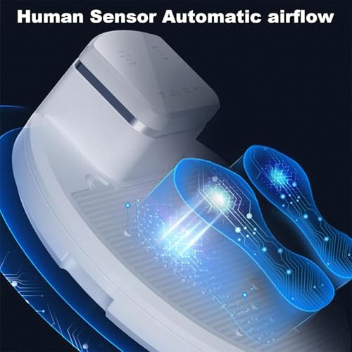 Sèche-cheveux design moderne à thermostat intelligent intégré - 4