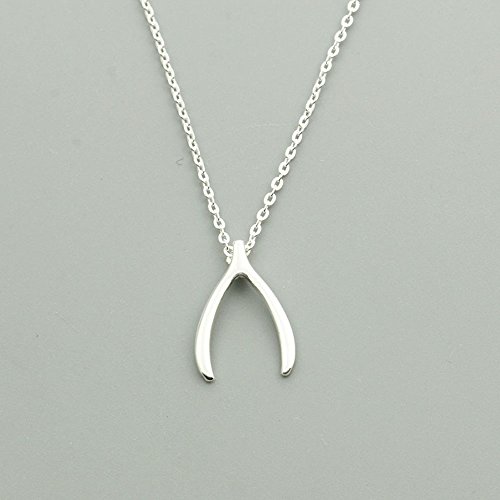 AOCHEE Delicate Lucky Wishbone Pendant Necklace Good Luck Wishbone Necklace 16"2