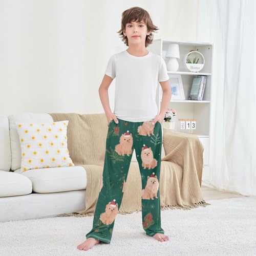 ZZXXB Pomeranian Mistletoe Branches Boys Long Pants Soft Trousers Elastic Waist Kids Lounge Bottoms with Pockets S-XL 6