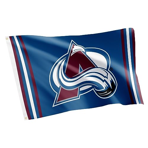 Desert Cactus Colorado Avalanche Flag NHL 100% Polyester Indoor Outdoor 3x5 feet National Hockey League Team Flags (Flag G)