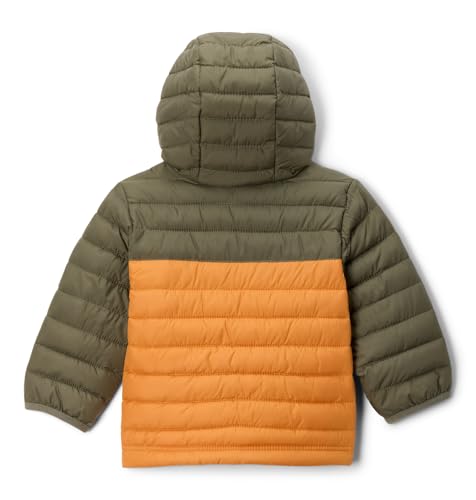 Image of Columbia Kids Powder Lite II Hooded Jacket (Little Kid /Big Kid)