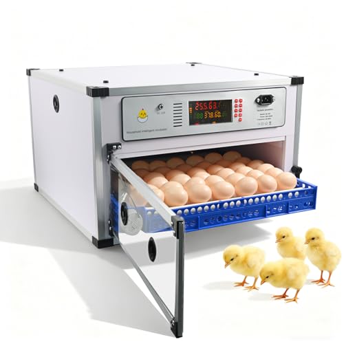 DOMINFLY Egg Incubators Automatic Incubator Machine with Built-in Egg Turner and Lntelligent Temperature Controller & Humidity Monitoring for Chick Fry Duck Goose Pigeon Parrot (68 Eggs)