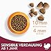 IAMS Sensible Verdauung Katzenfutter trocken - Trockenfutter für Katzen mit empfindlichen Mägen ab 1 Jahr, 3 kg