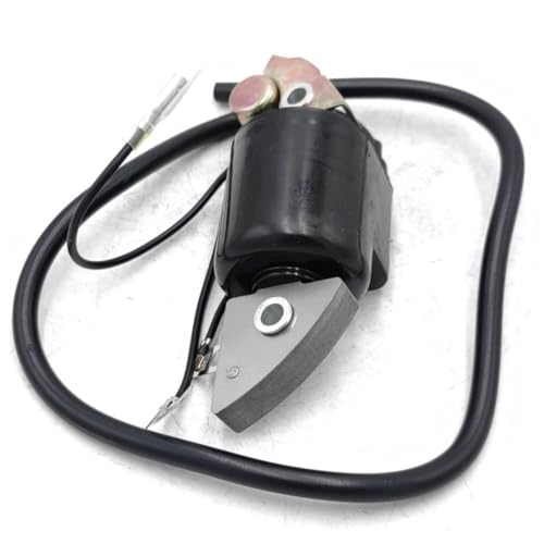Bobina de encendido 30500-887-303 para motor G150 G200 G300