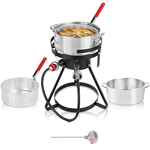 The Best outdoor fish fryer For 2022 licorize