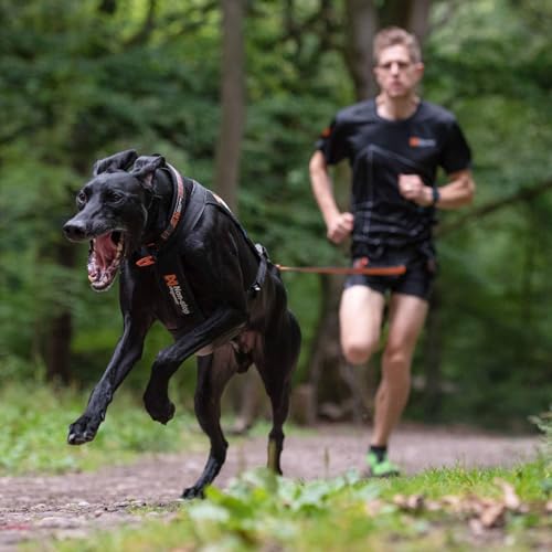 Non-Stop Zuggeschirr FREEMOTION Harness Brustgeschirr schwarz für Hunde Größe 5
