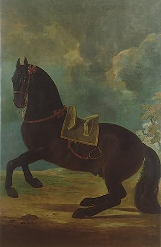 Affiche étalon bai Johann Georg : l'élégance équestre classique chez vous