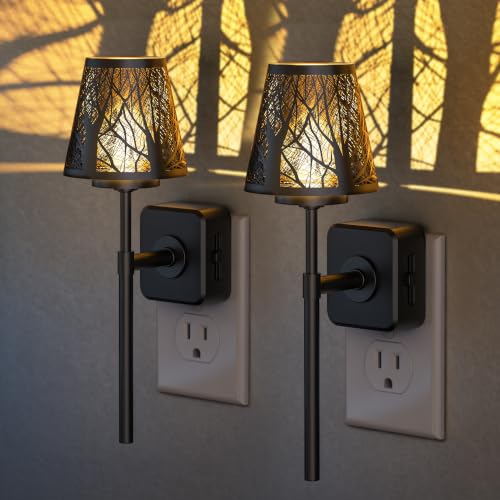 Image of Briignite Plug in Night Light Dimmable Metal Crafted Night Light 3000K Warm