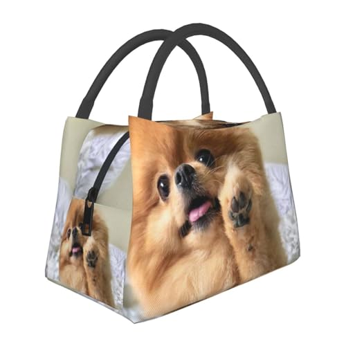 ���킢�� �|�����j�A���� ���� �|�[�^�u�� �f�M�o�b�O �����`�o�b�O ���ٓ��o�b�O �N�[���[�o�b�O ������� �s�N�j�b�N�o�b�O �n���h�o�b�O �ۉ� �ۗ� ����ɋ��� �ϏՌ� ��e�� �t�@�b�V���� �j�����p �A�j�� �O�b�Y �L�����N�^�[ �v���[���g