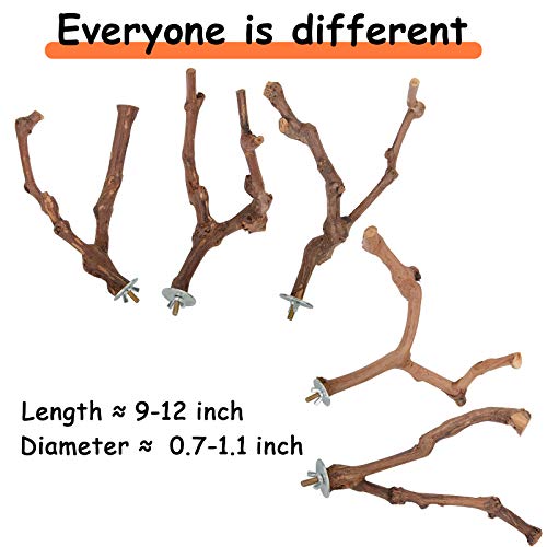 phepetroll Wood Bird Stand Perch, Natural Wild Grape Stick Bird Stand Pole, Grinding Paw Climbing Standing Accessories Bird Branch Perch for Parakeets, Budgies, Lovebirds, Finches (Bifurcation)