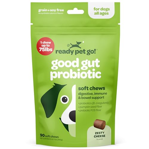 Probiotic Chews for Dogs Gut Health | Tasty Pro and Prebiotics for Dogs Digestive Health Immunity Itchy Skin & Seasonal Allergy Support with Pumpkin Dog Probiotics and Digestive Enzymes | 90 Chews Probiotic Chews for Dogs Gut Health | Tasty Pro and Prebiotics for Dogs Digestive Health Immunity Itchy Skin & Seasonal Allergy Support with Pumpkin Dog Probiotics and Digestive Enzymes | 90 Chews