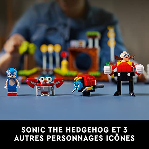 LEGO Ideas Sonic the Hedgehog Hill Zone - vue 8