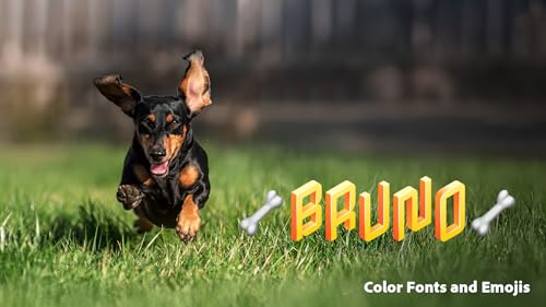 image for Adobe Premiere Elements 2026 | Software Download | Video Editing | 3-y