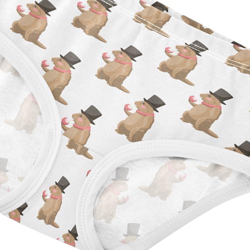 Girls' Underwear Groundhog Cotton Stretch Comfort Toddler Panties4